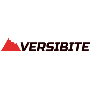 Versibite  Logo by CyberGrove